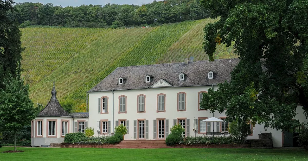 Günther Jauch gerät nach Weinlese auf seinem Weingut ins Schwärmen