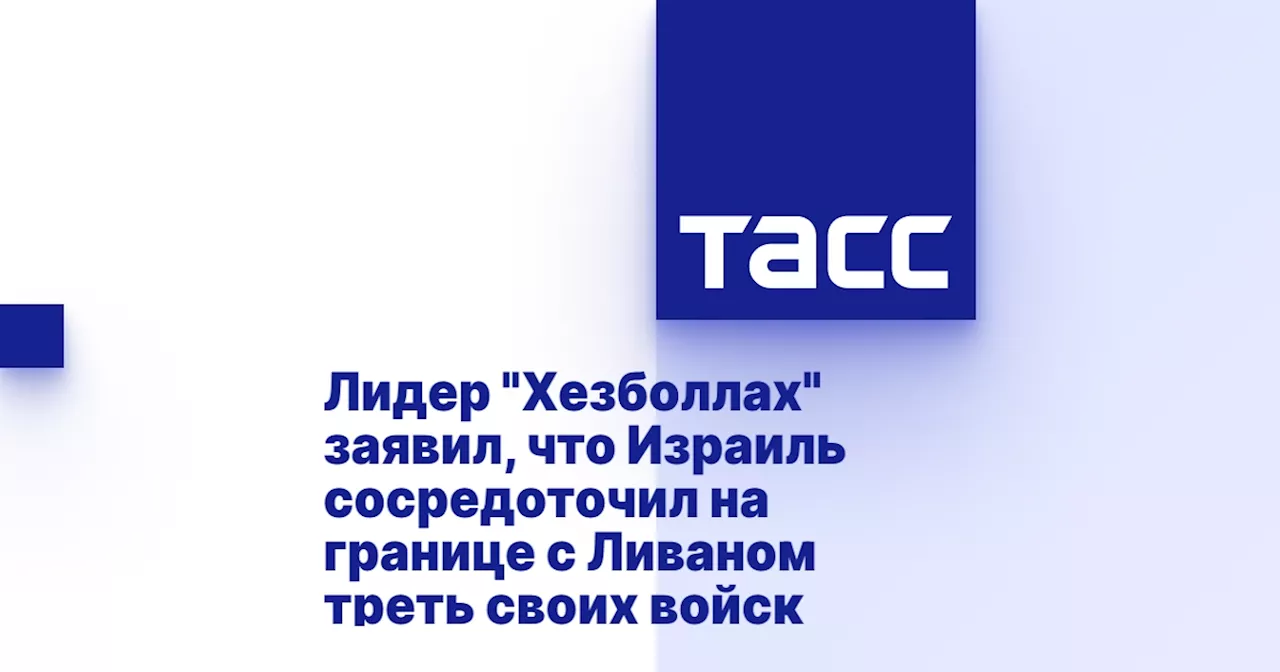 Лидер 'Хезболлах' заявил, что Израиль сосредоточил на границе с Ливаном треть своих войск