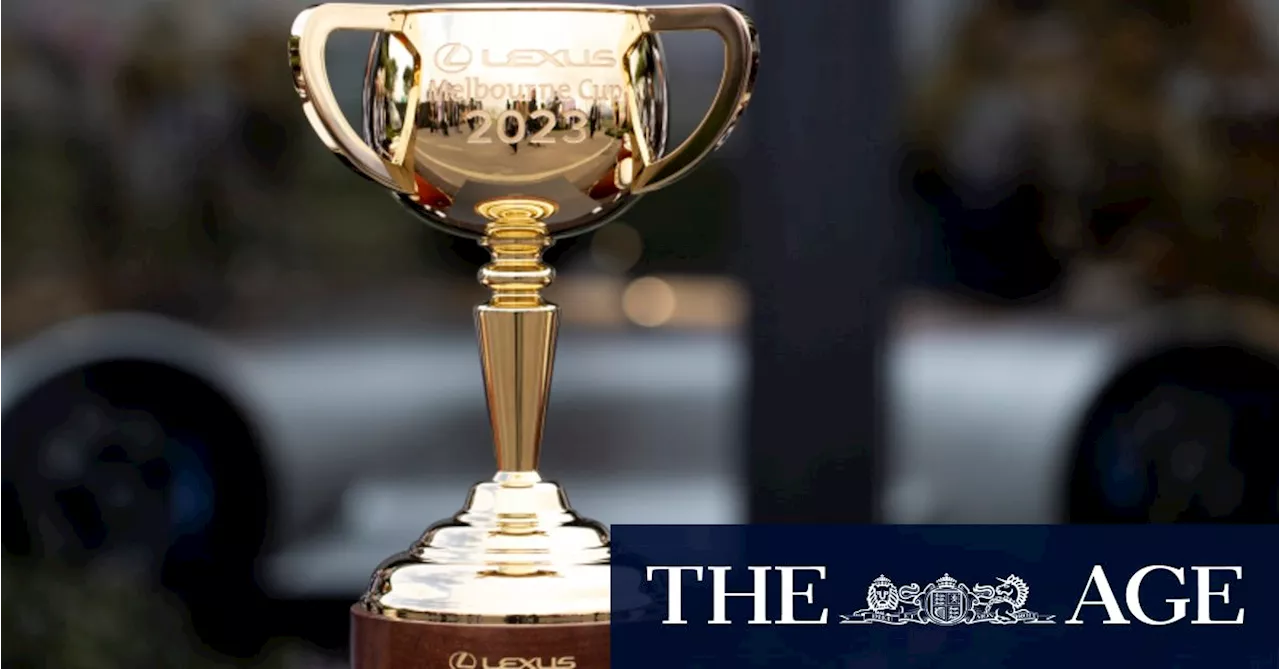 Cup field shows racing can tackle horse welfare