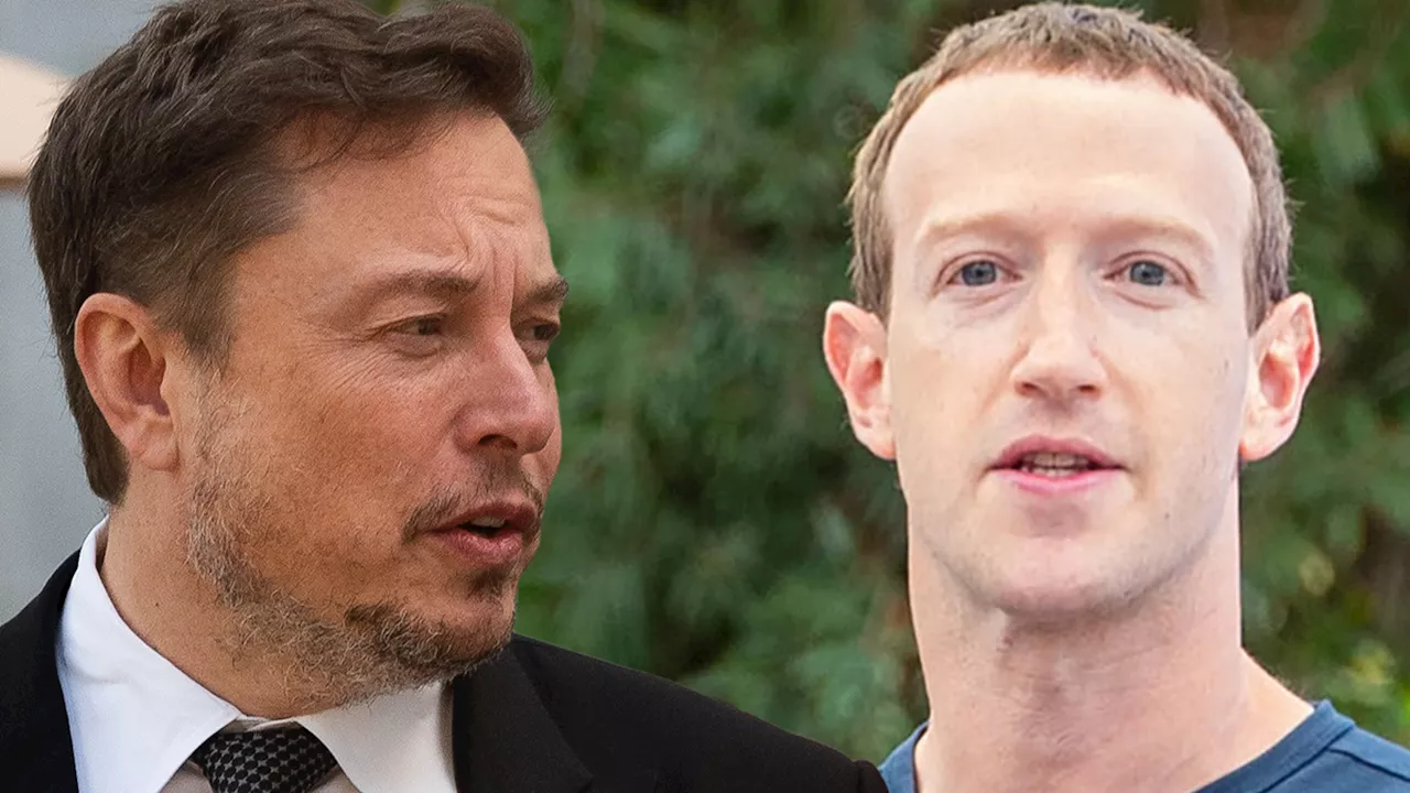 Elon Musk Says It's Mark Zuckerberg's Fault MMA Fight Didn't Happen