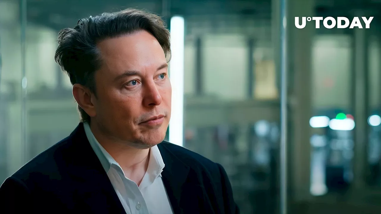 Elon Musk's xAI Start-up to Launch Tomorrow: Here's AI Crypto's Price Reaction