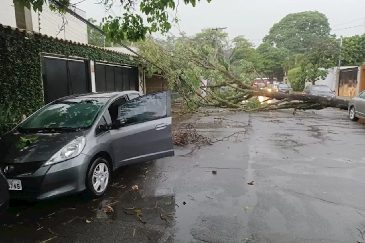 Chuvas fortes e ventos acima de 100 km/h deixam dois mortos em SP