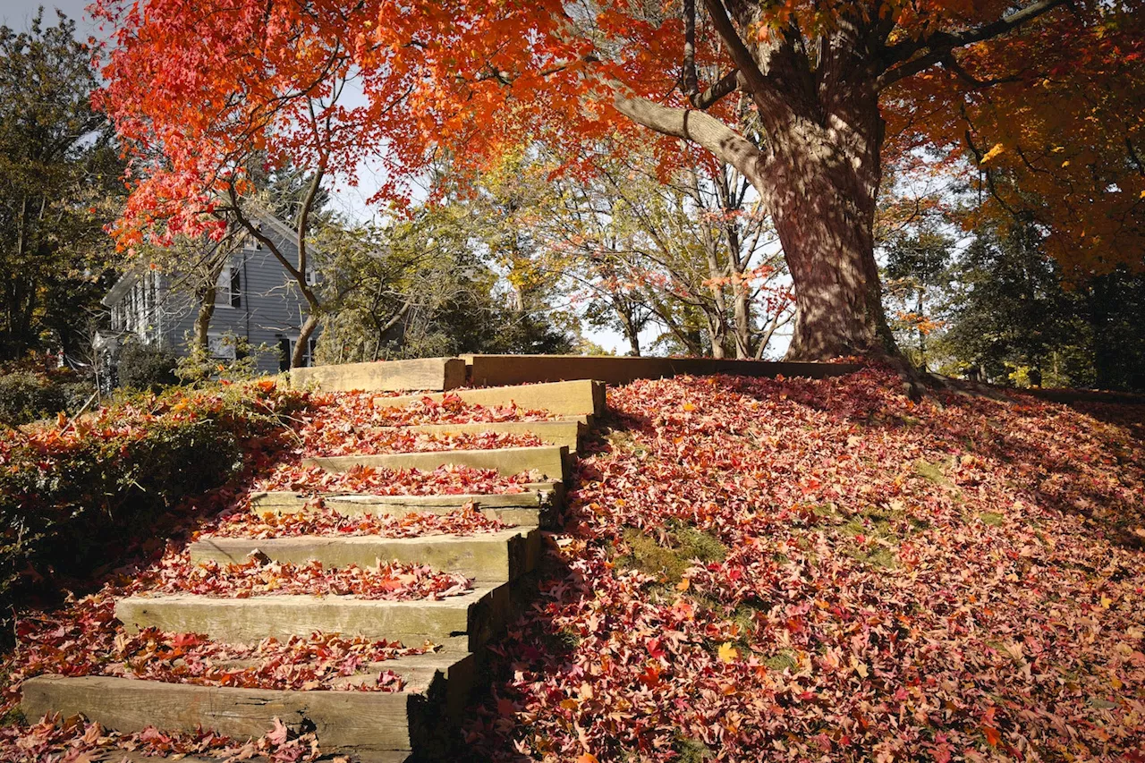 D.C.-area forecast: Moderating temperature trend toward warmth starts today