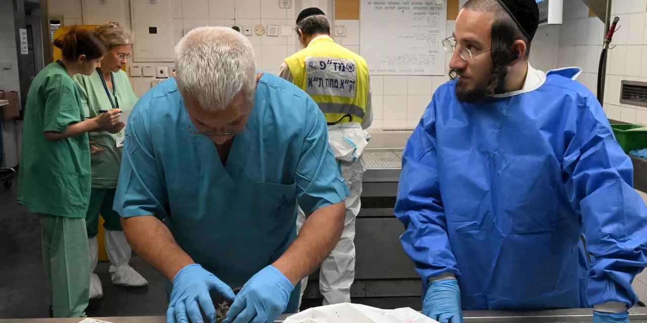 Israel’s Quest to Identify Every Victim of Hamas Leaves Scientists Exhausted, Traumatized