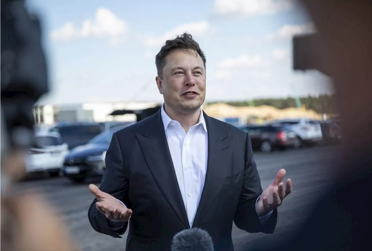 Elon Musk Tells Advertisers to 'F--- Themselves' Over Antisemitic Post