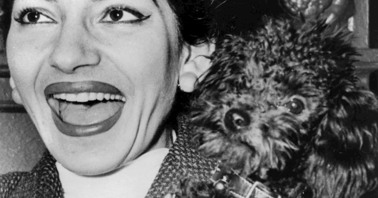 Maria Callas: Die Diva der großen Oper