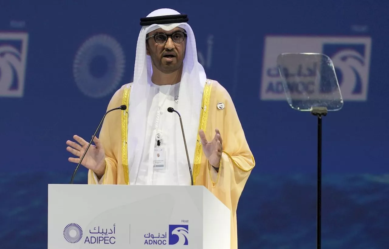 COP28 à Dubaï : Qui est Sultan Al Jaber, le président de la conférence sur le climat ?