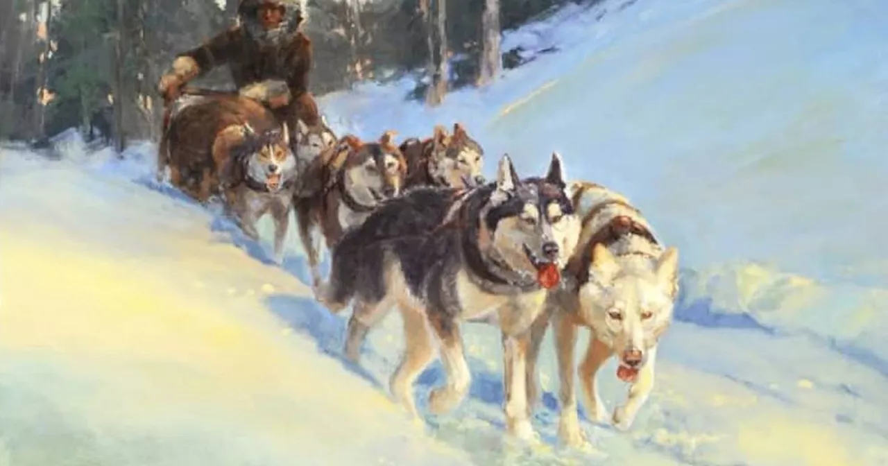 Book review: A new history of sled dogs in North America is vast and intriguing read