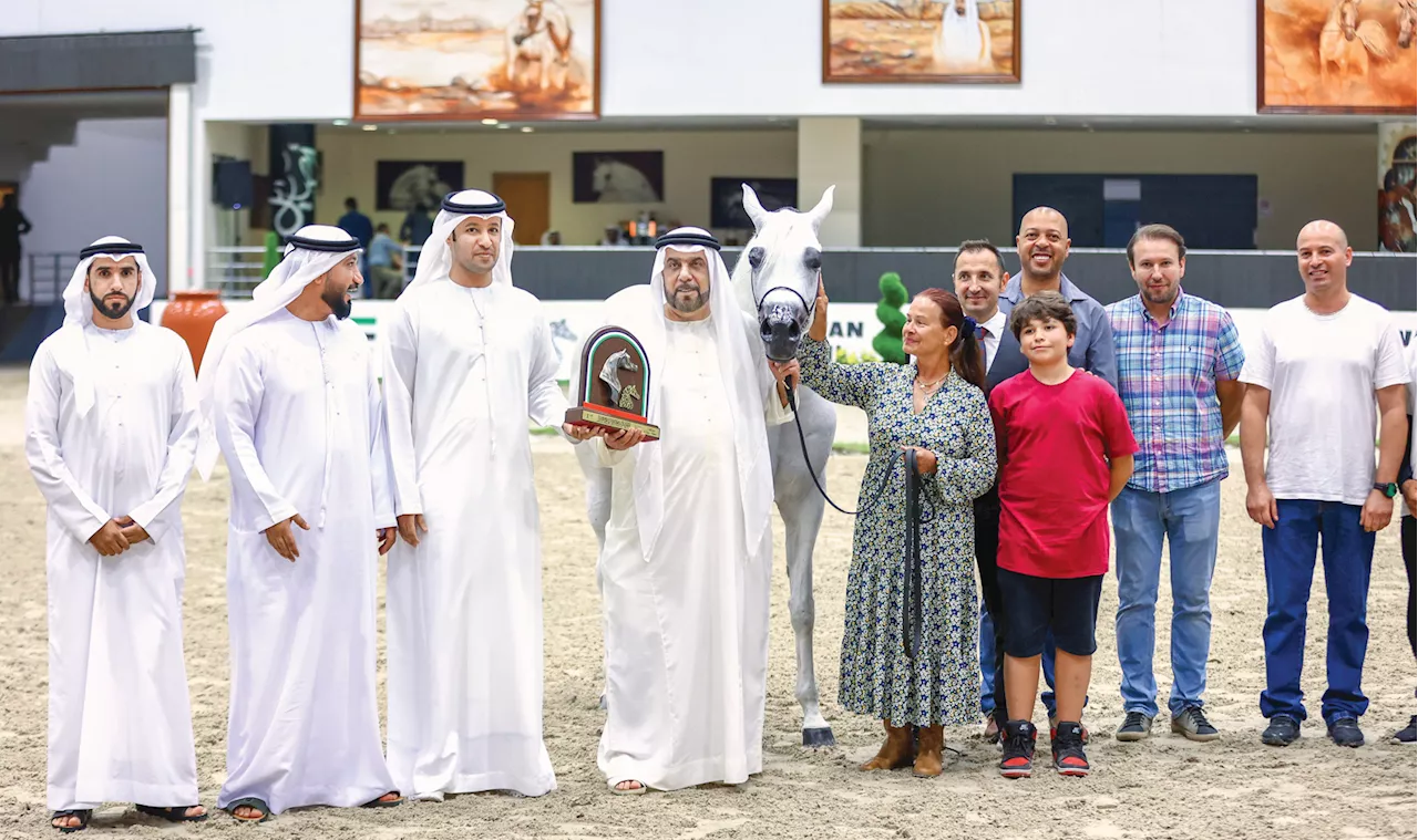 مربط دبي يتألق في مهرجان الشارقة للجواد العربي