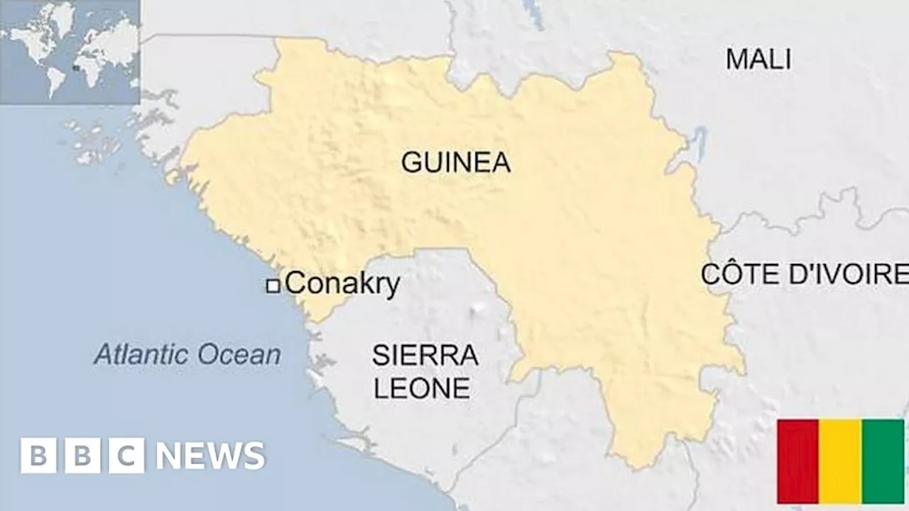 Guinea country profile