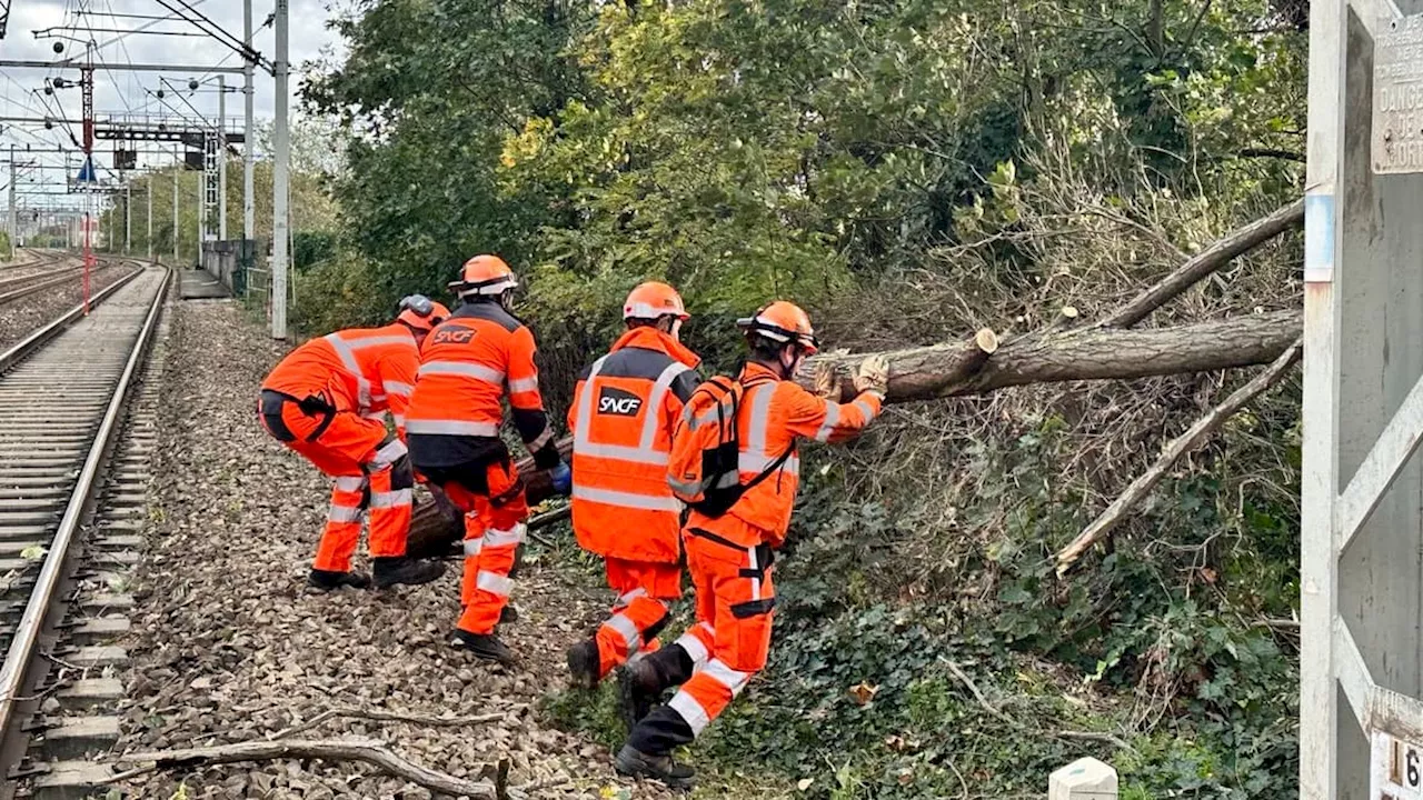 Tempête Ciaran: le trafic ferroviaire encore très perturbé ce samedi dans certaines régions