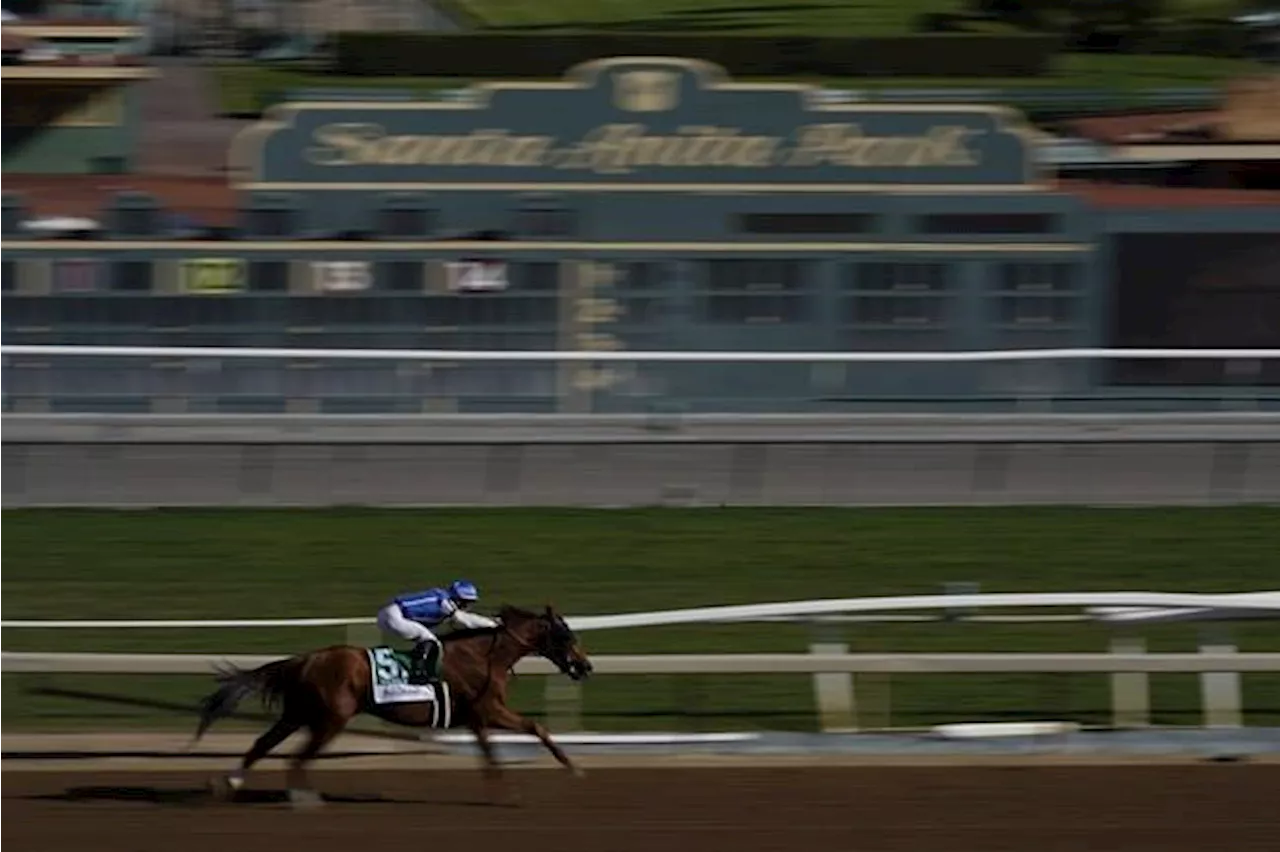 Cody's Wish ekes out a nose victory in Breeders' Cup Dirt Mile after rivals bump in the stretch