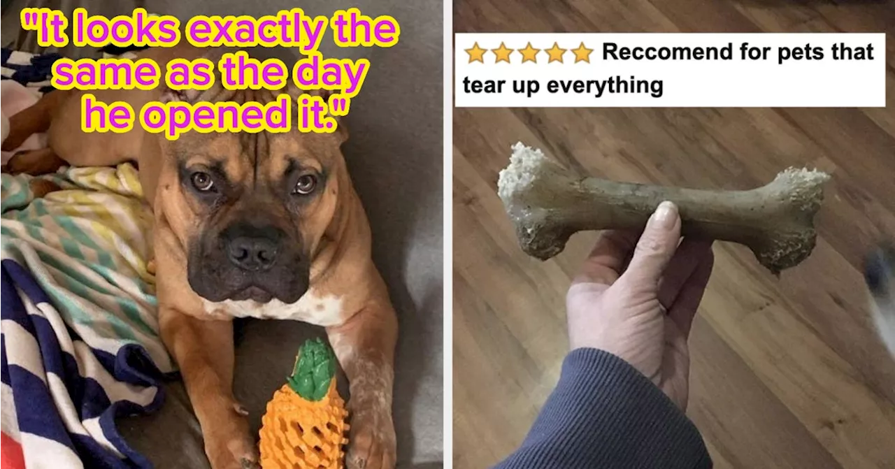 15 Reviewer-Loved Dog Products For Aggressive Chewers