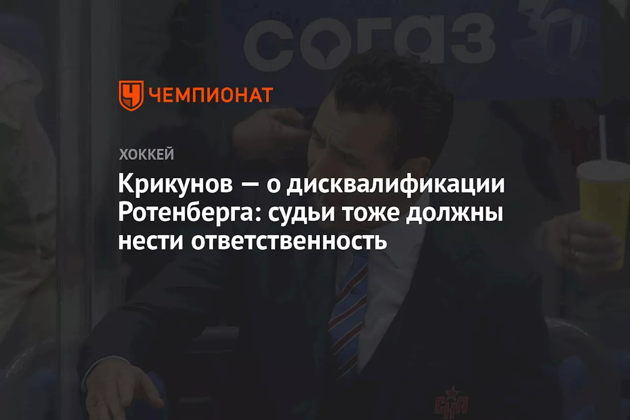 Крикунов — о дисквалификации Ротенберга: судьи тоже должны нести ответственность