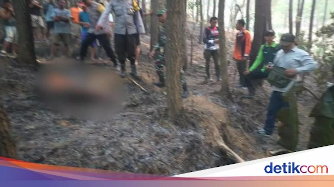 Kebakaran Hutan Trenggalek Tewaskan Seorang Petani