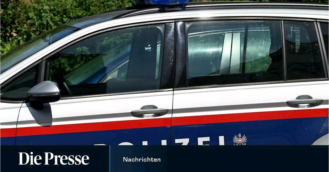 Oberösterreich: 18-Jähriger rast vor Polizei davon und rammt Streifenwagen