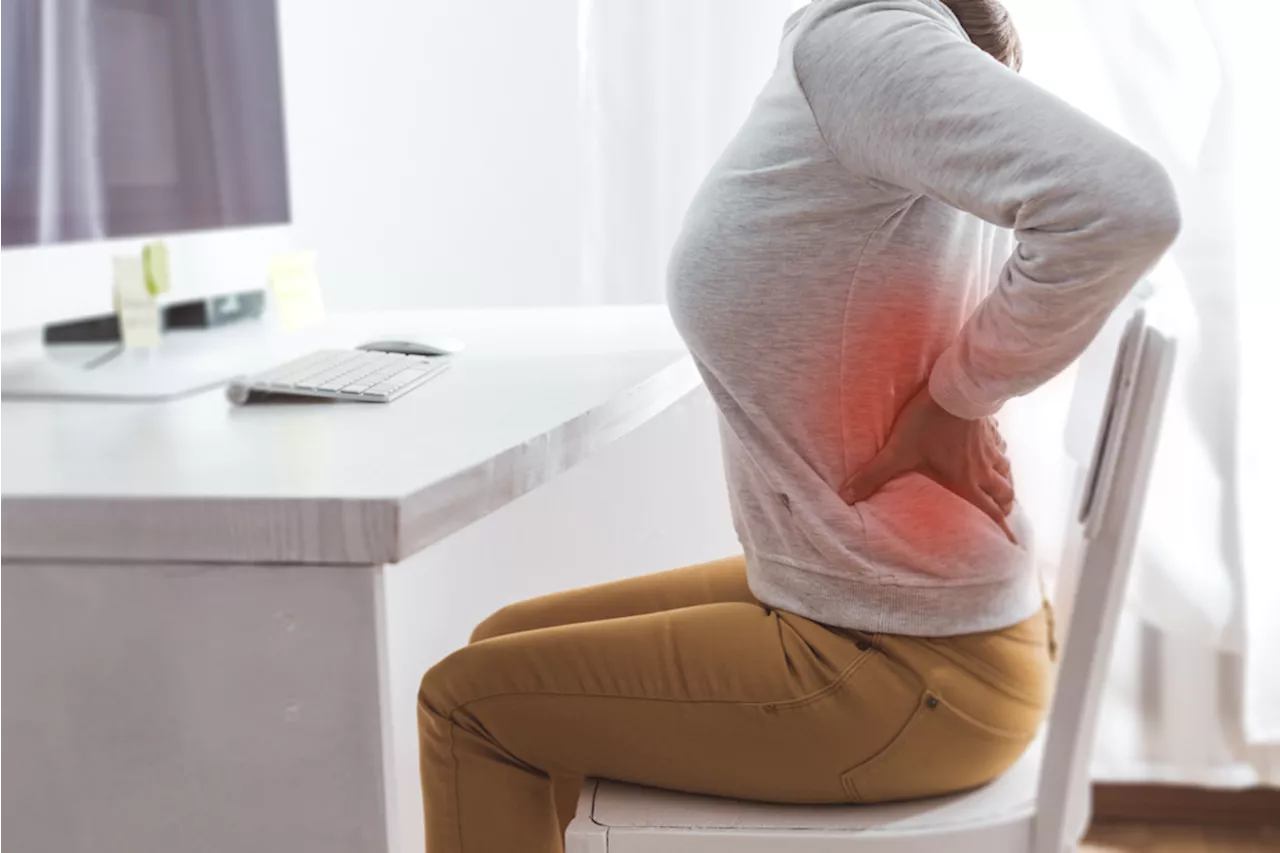 Understanding That Chronic Back Pain Originates From Within The Brain Could Lead To Quicker Recovery, A New Study Finds