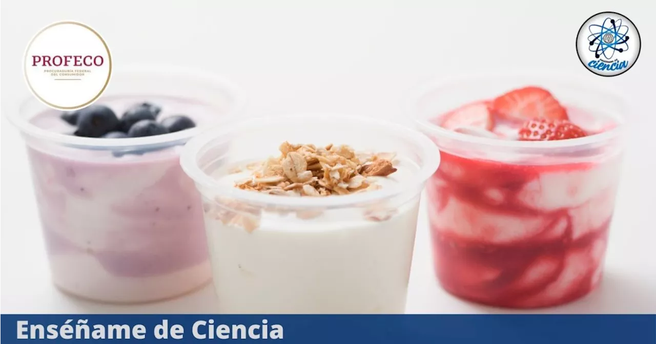 Pocos las consumen, pero son las mejores marcas de yogurt en México, según PROFECO