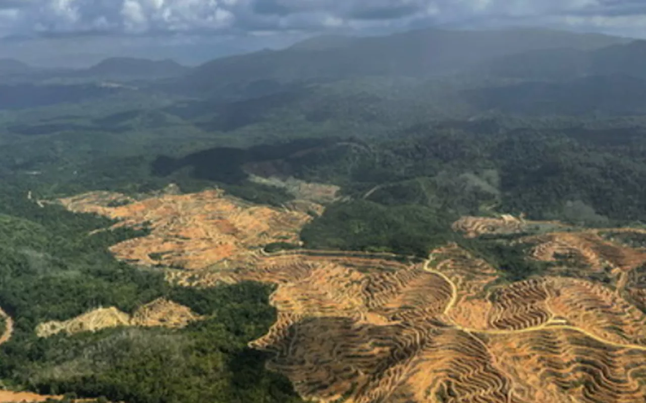 Kelantan Orang Asli oppose changes to environmentally sensitive areas