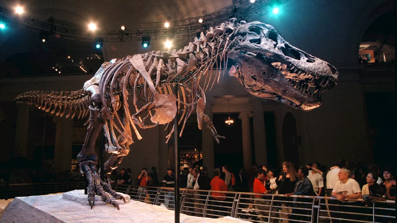 Dinosaurs may have been killed off by ‘apocalyptic dust plume’: study