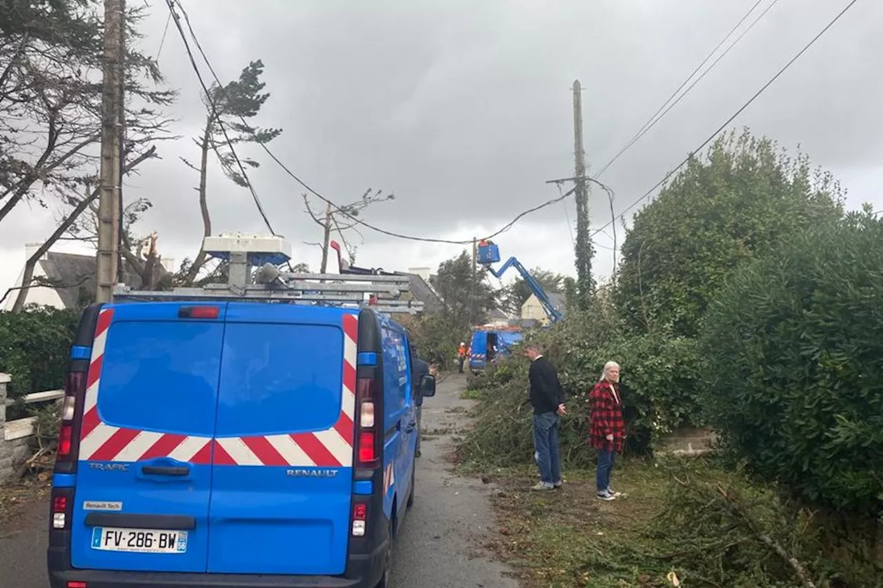 Tempête Ciaran. La longue et difficile remise en état du réseau électrique face à l'impatience des foyers sans