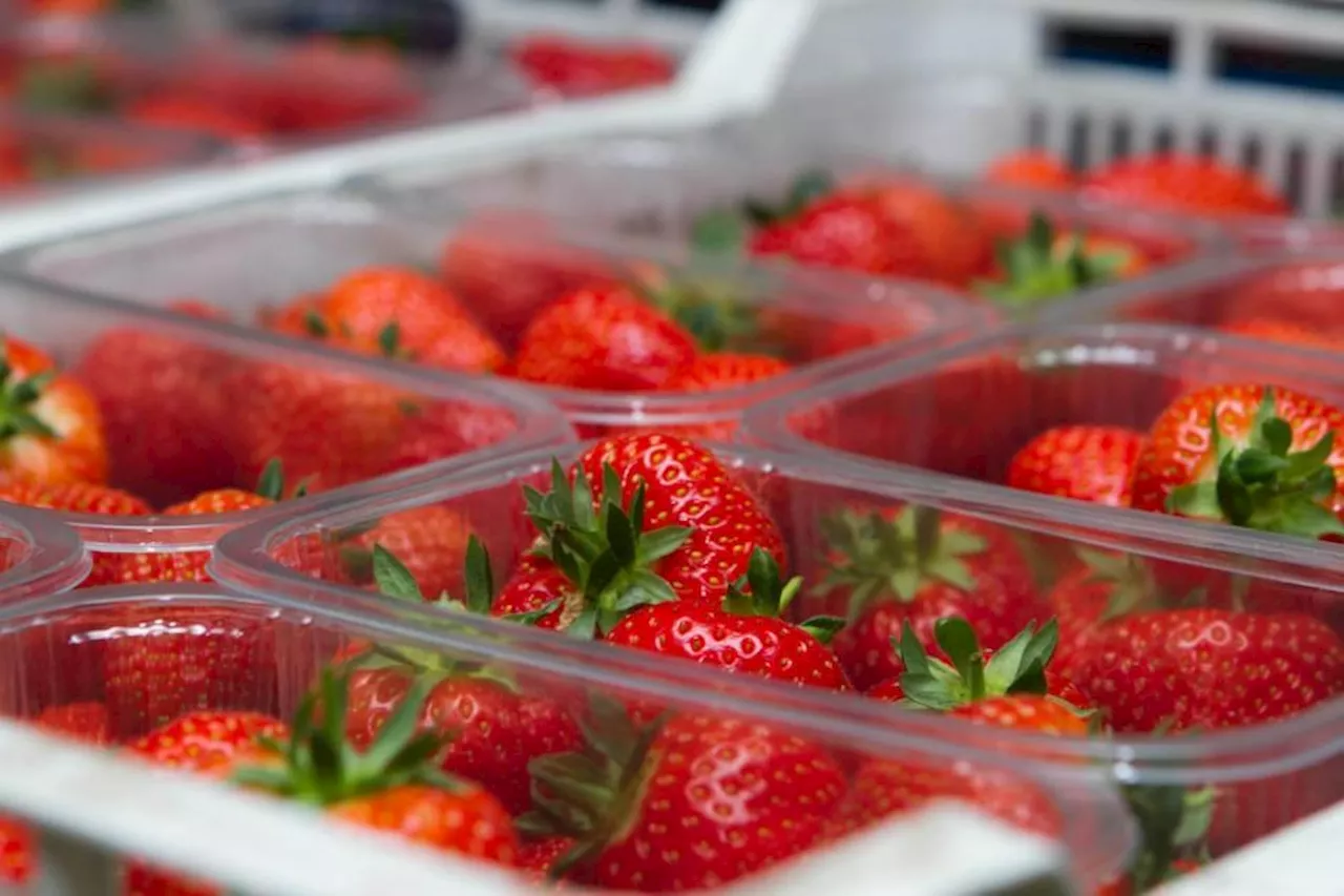 Neilston shop set to offer 'low cost, locally grown produce' to open