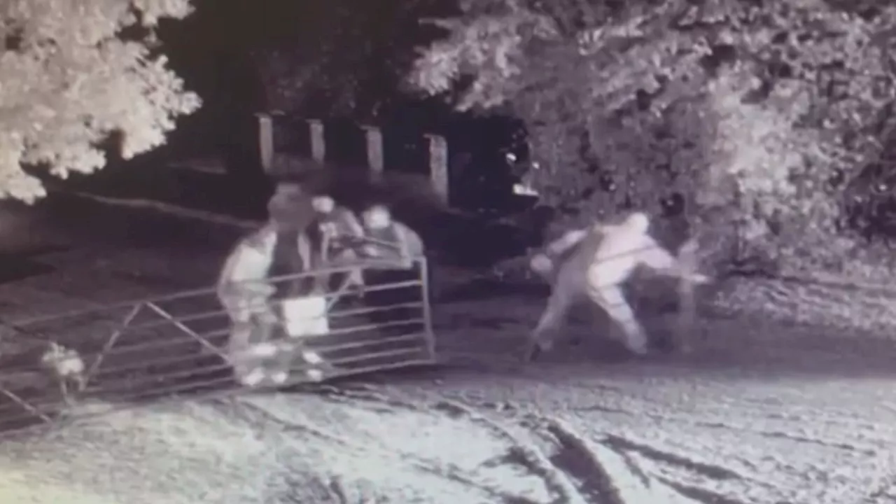 Moment two men attacked by gang at Dorset fireworks event caught on CCTV