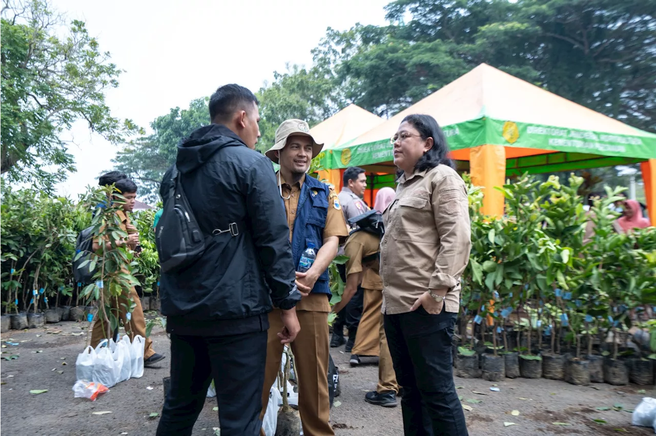 Dirjen Buflo Hortikultura Sebut Indonesia Memiliki Genetik Mangga yang Beragam