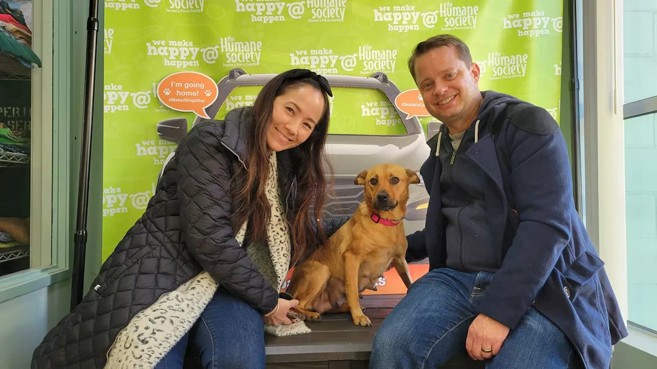 Over 70 local shelter pets find forever homes during Tacoma adoption event