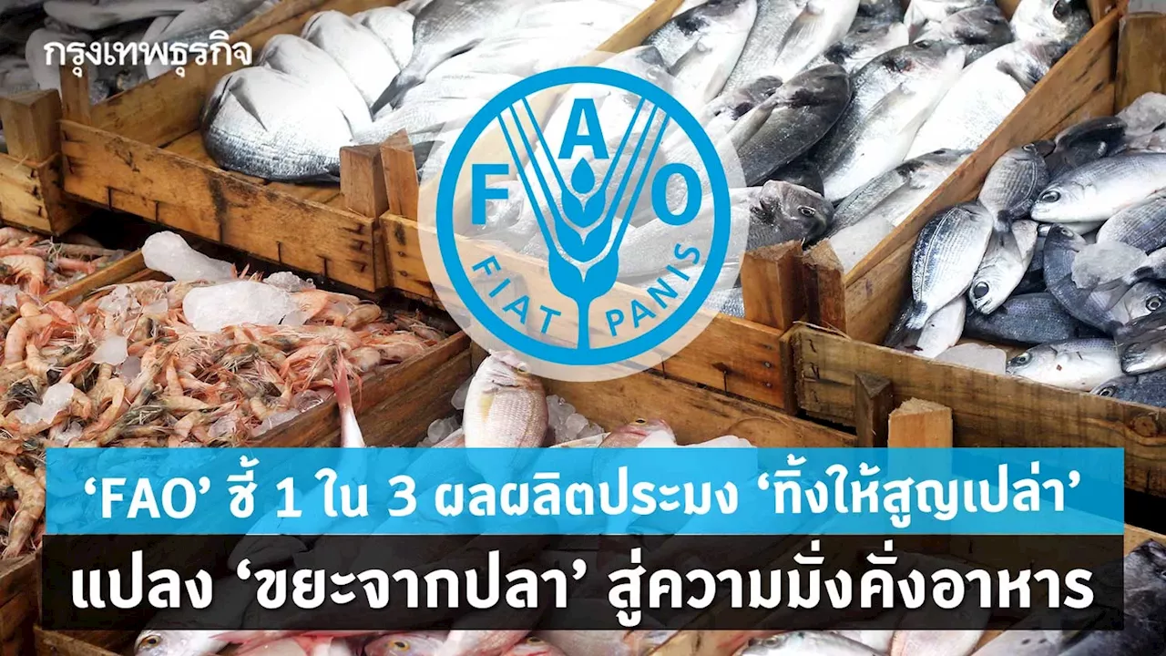 “FAO” ชี้ 1/3 ผลผลิตประมงทิ้งให้สูญเปล่า แปลง ขยะจากปลา สู่ความมั่นคั่งอาหาร