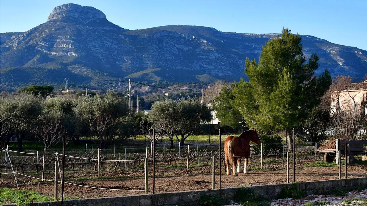 Urbanisme : bataille épistolaire entre l'État et la Métropole Aix-Marseille-Provence