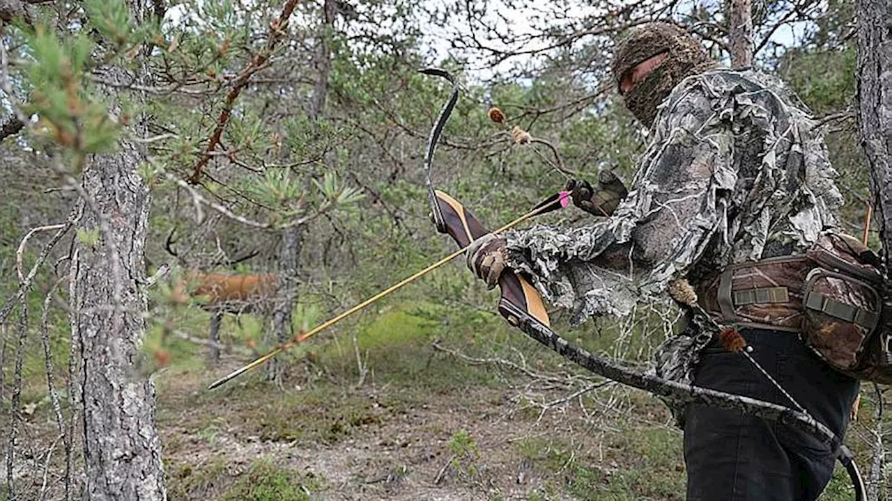 Vaucluse : la chasse à l’arc, une pratique qui demande force et finesse