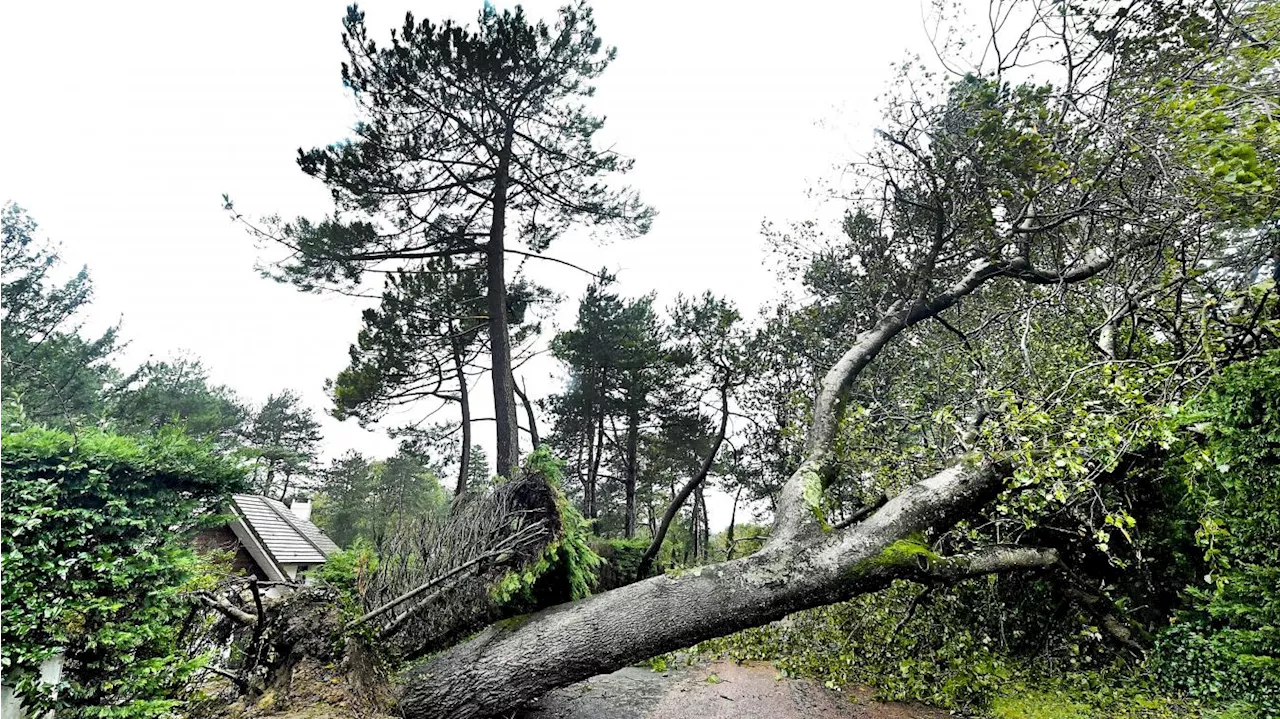 Tempête Ciaran: le trafic TER encore perturbé samedi dans les Hauts-de-France