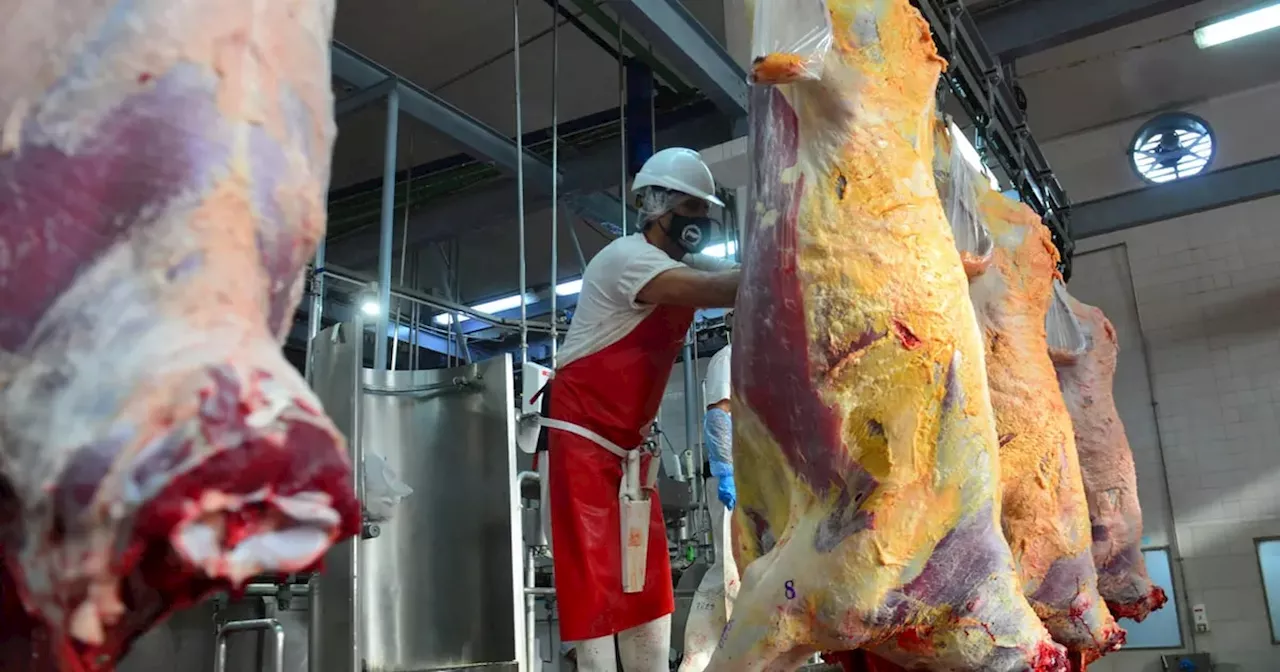 Según el Usda, Argentina será el país que más crecerá en exportaciones de carne vacuna