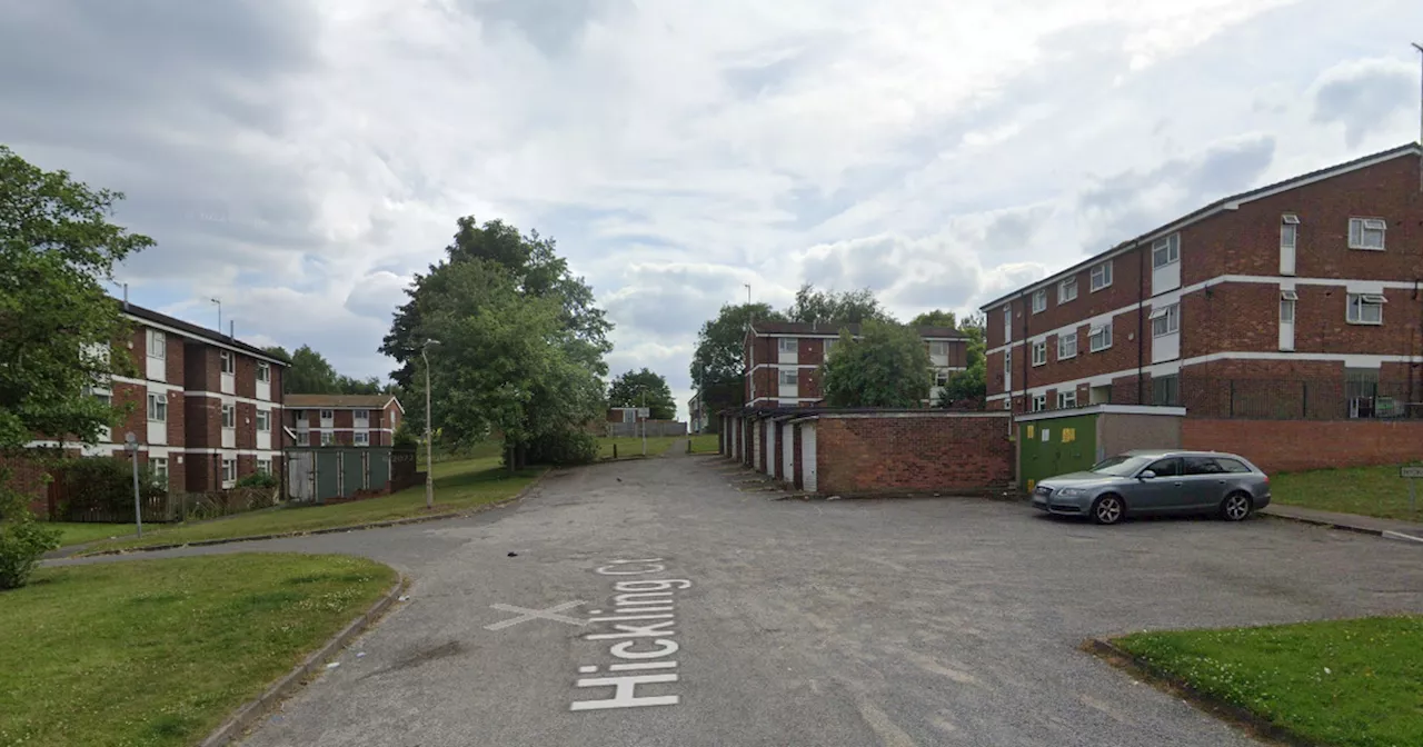 Man and woman rushed to hospital with serious injuries in XL Bully attack