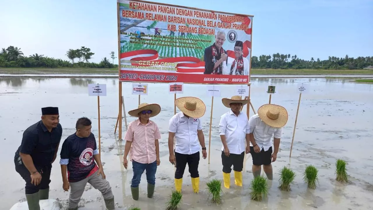 Aksi Tanam Padi Serentak Warnai Deklarasi Relawan BNBG Sergai Dukung Ganjar-Mahfud