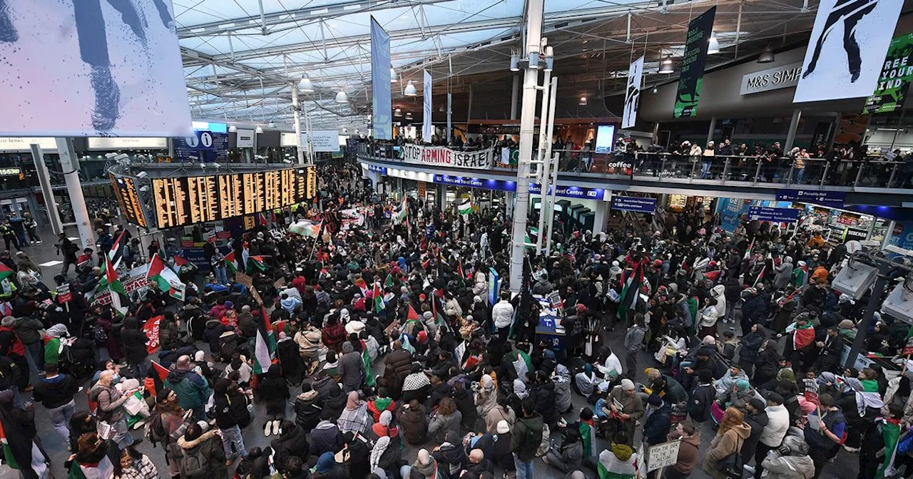 The moment thousands of pro-Palestine demonstrators took to the streets