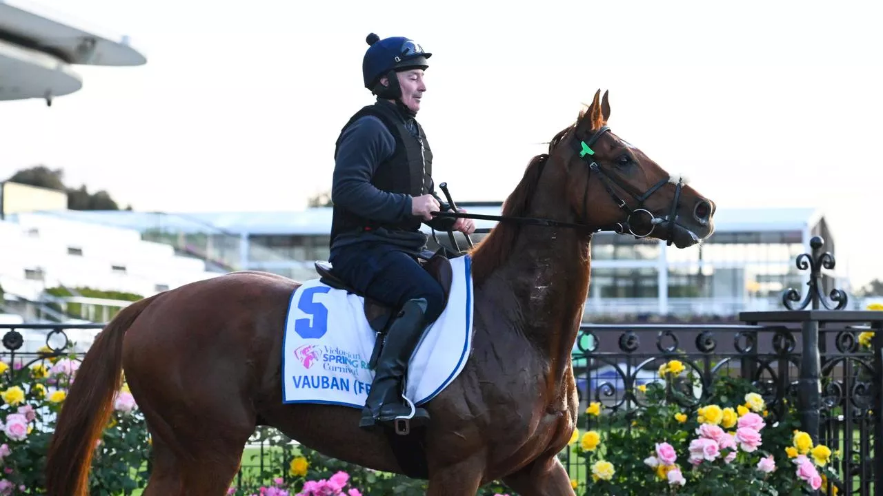 Melbourne Cup favourites get huge boost