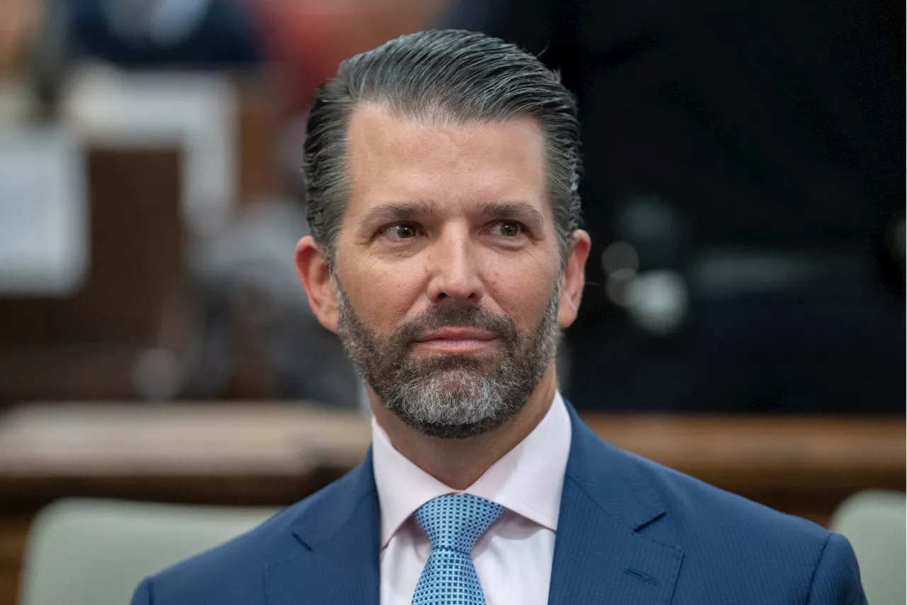 Donald Trump Jr. Isn't Happy About His Court Sketch