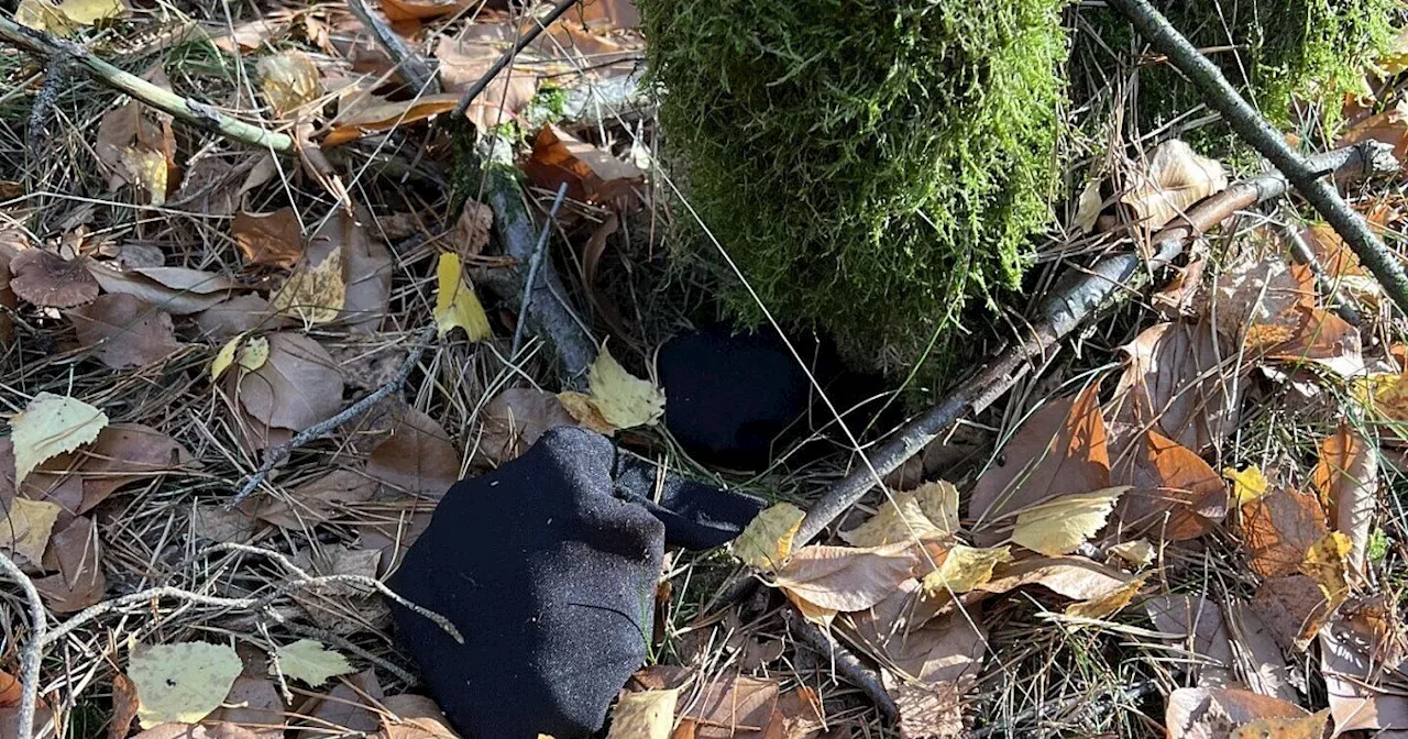 Rätsel um seltsame schwarze Päckchen in Wald im Kreis Gütersloh