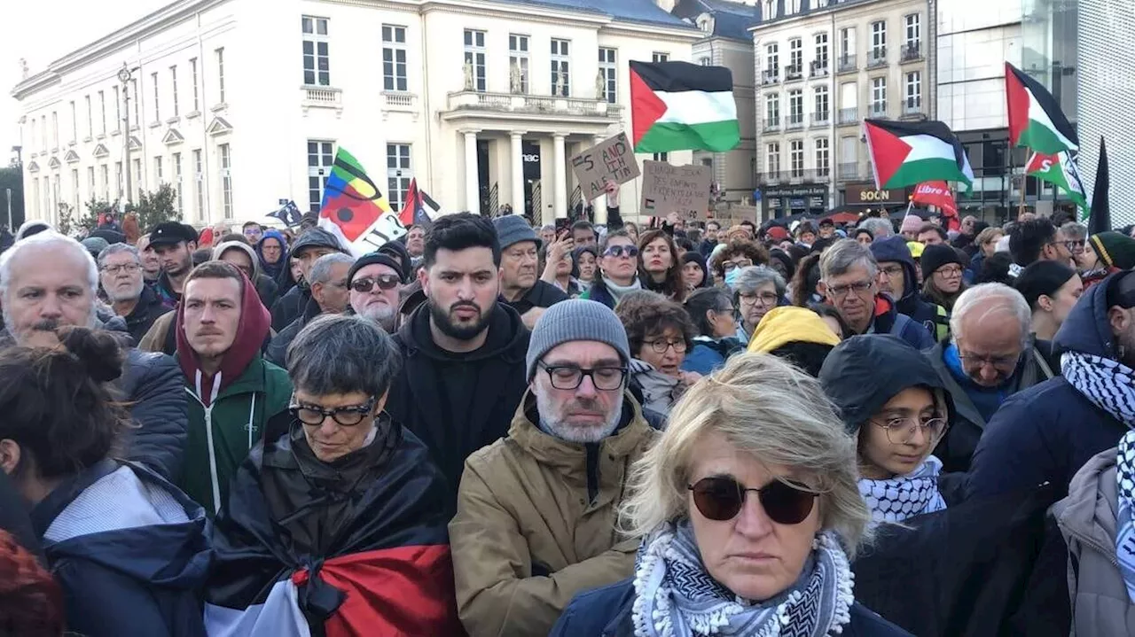 1 700 manifestants appellent à « un cessez-le-feu immédiat pour la paix » en Palestine