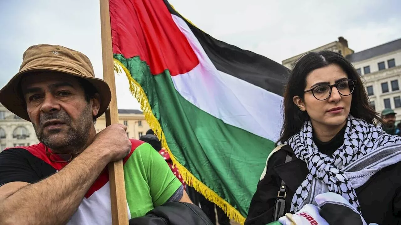 Environ 250 manifestants pour la Palestine : « C’est horrible », pleure Nasser