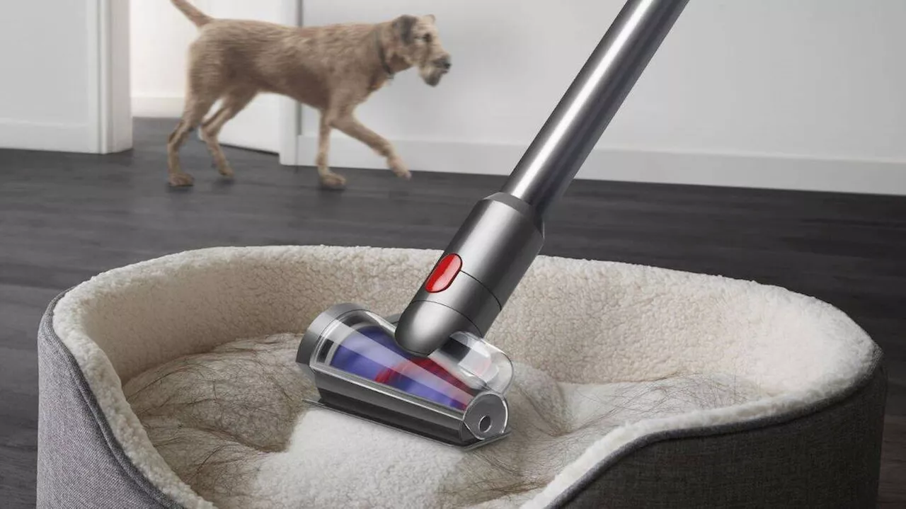 Juste avant le Black Friday, Dyson offre 100 euros de réduction sur l’aspirateur V12 Absolute