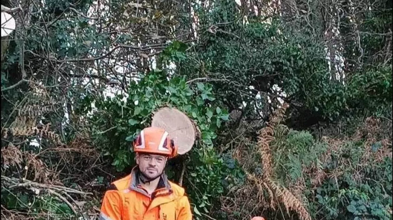 Tempête Ciaran.En congé, cet employé des espaces verts intervient gratuitement chez des particuliers