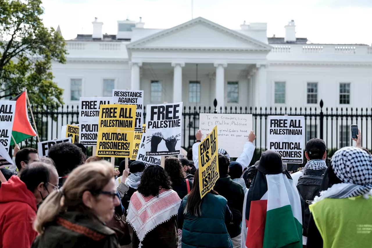 Thousands expected in D.C. to march for Palestinians, cease-fire