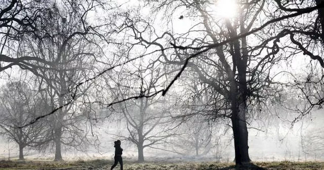 More rain on the way as Met Éireann forecast heavy showers and cold snap looming