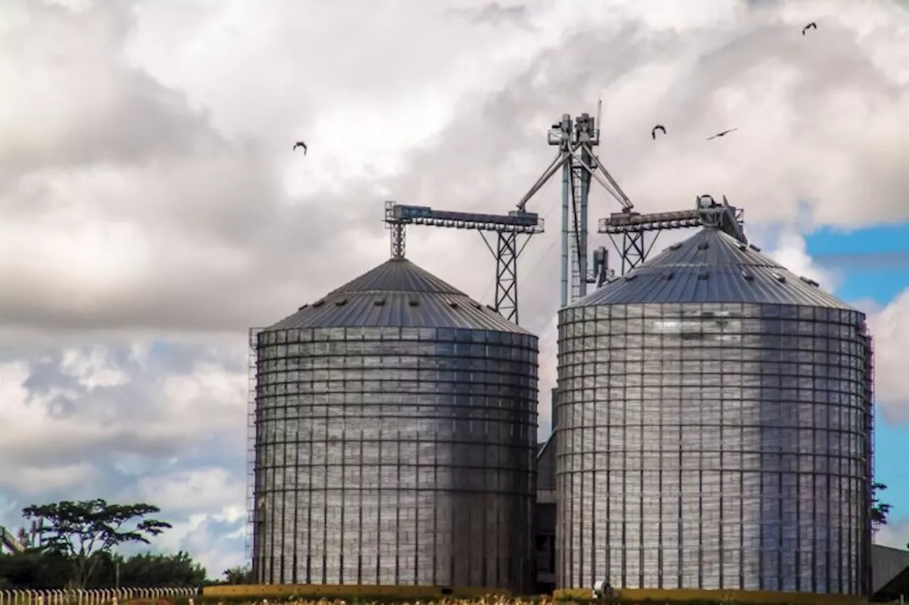 Agriculture in the Pan Amazon: Global markets for soybean and corn crops