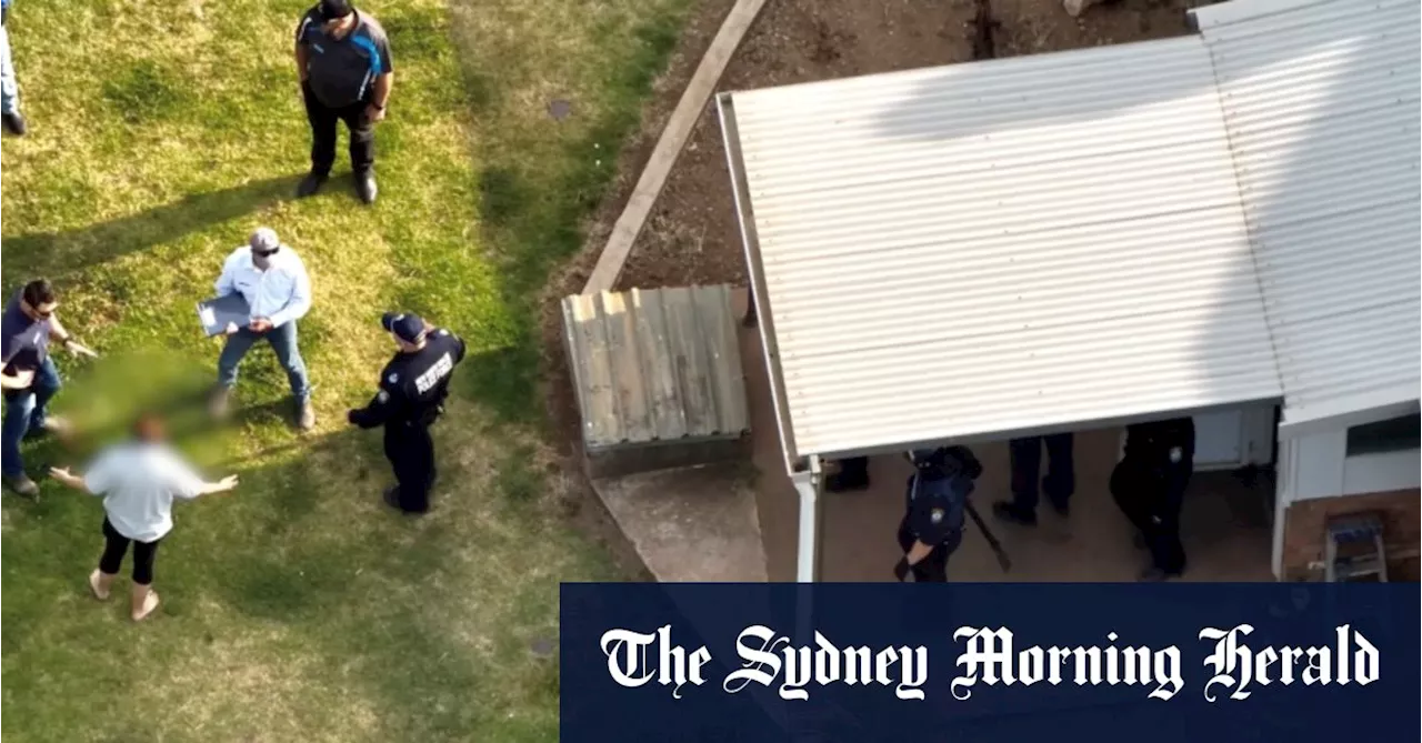 Sydney man charged after human bones found in burnt-out tree trunk