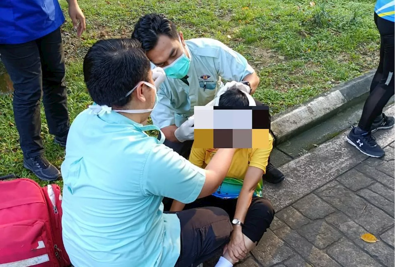 Senior citizen falls during monkey attack in George Town, needs nine stitches