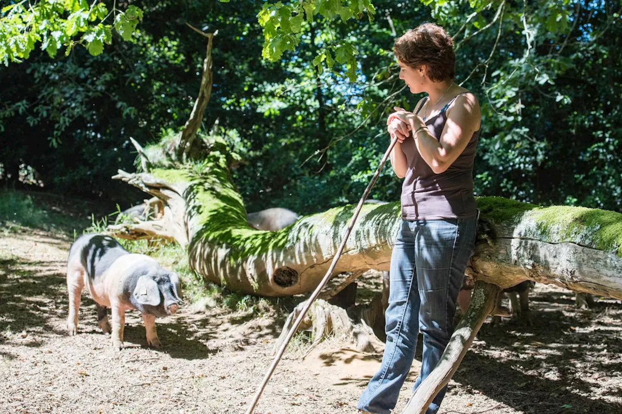 Pyrénées-Atlantiques : les chiffres de l’installation des femmes en agriculture